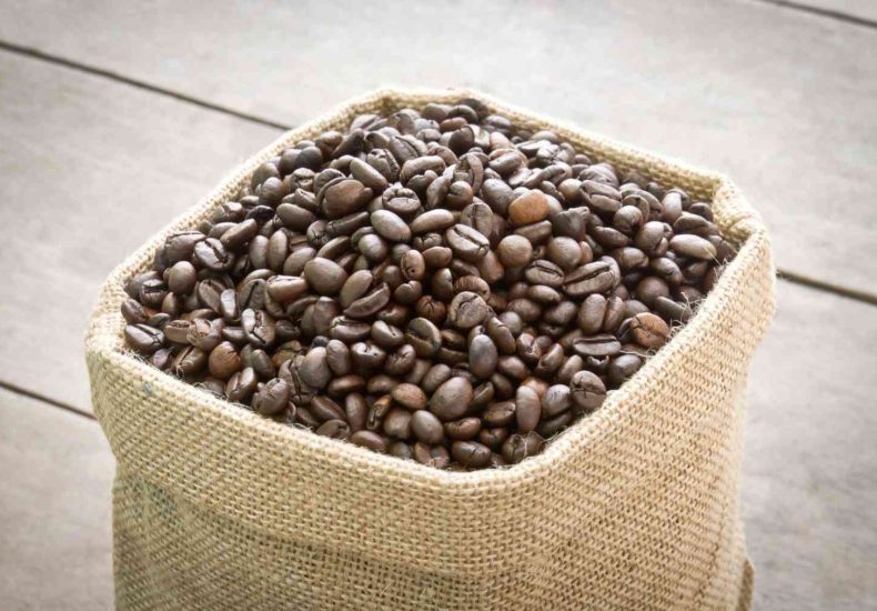 cara kerja sortasi kopi